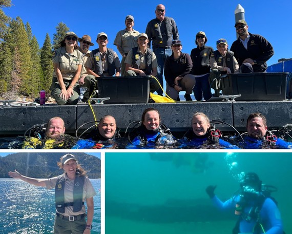 Tahoe Live Dive