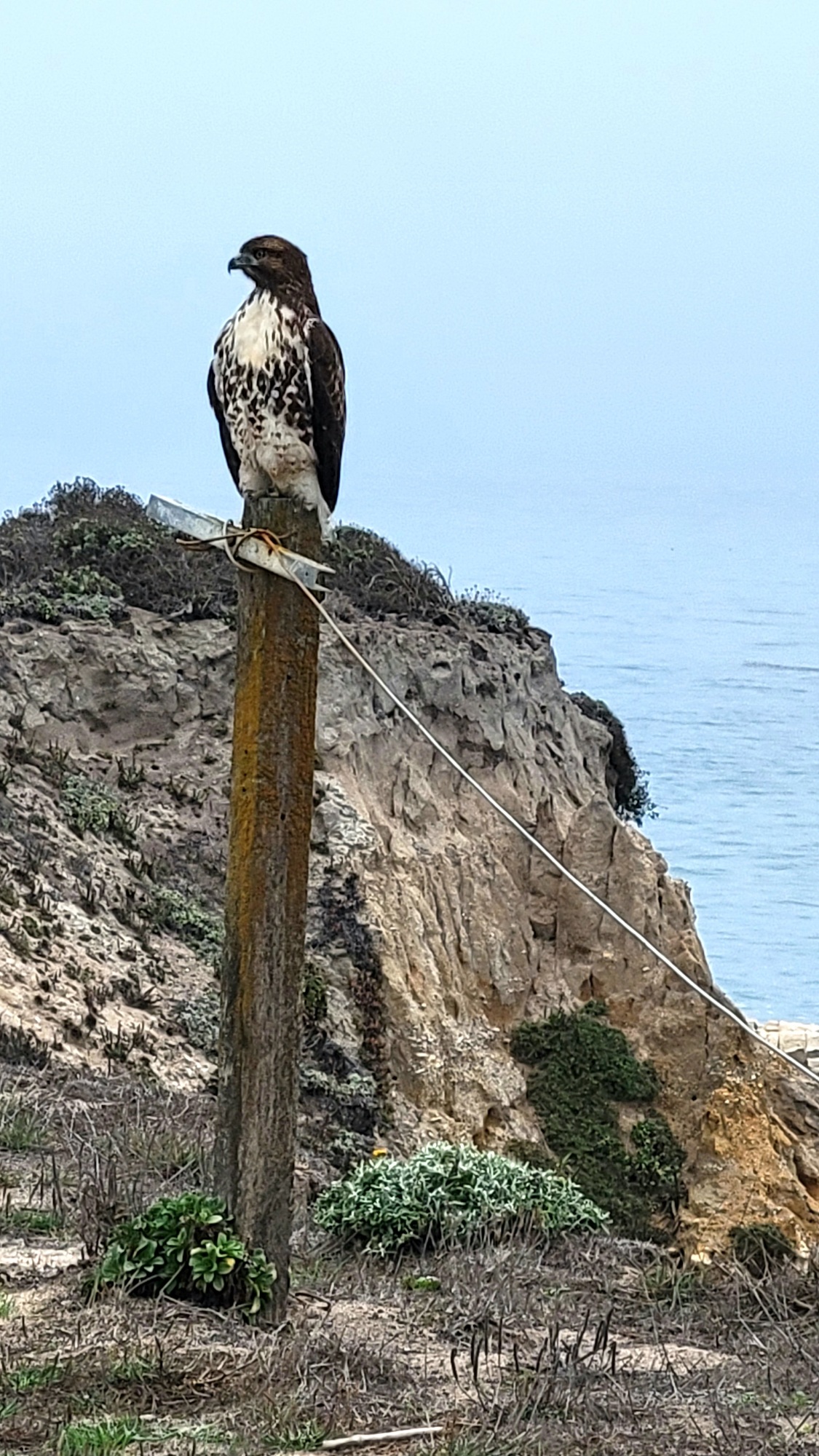 Wilder Ranch State Park