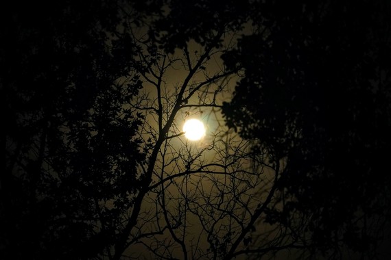Malibu Creek SP (full moon)