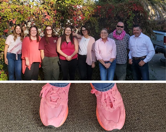 Gold Fields District