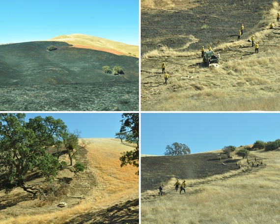 Carnegie SVRA cal fire and sp collage