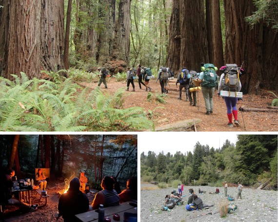 Forest for all Latino Outdoors (collage)