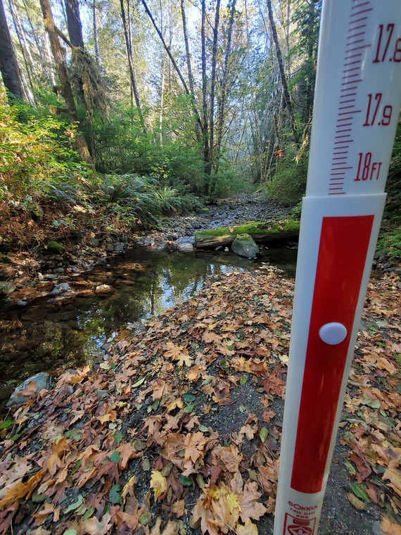 Del norte Coast Redwoods SP (stream survey)