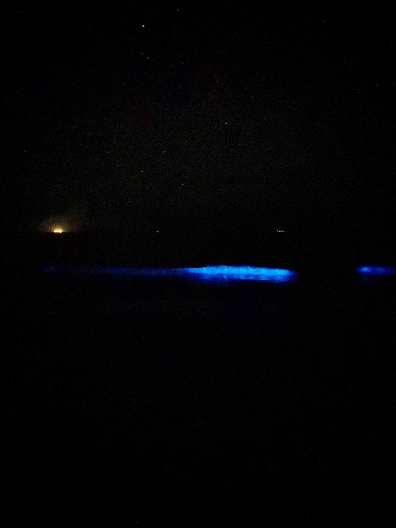 Point Mugu SP_ocean bioluminescence