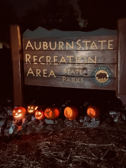 Auburn SRA_carved pumpkins at night