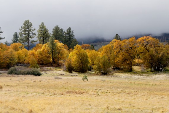 Cuyamaca Ranch SP (fall on stormy day)