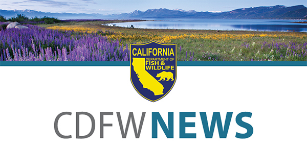Header featuring a field of flowers, lake and mountain range and CDFW News and the California Department of Fish and Wildlife logo.