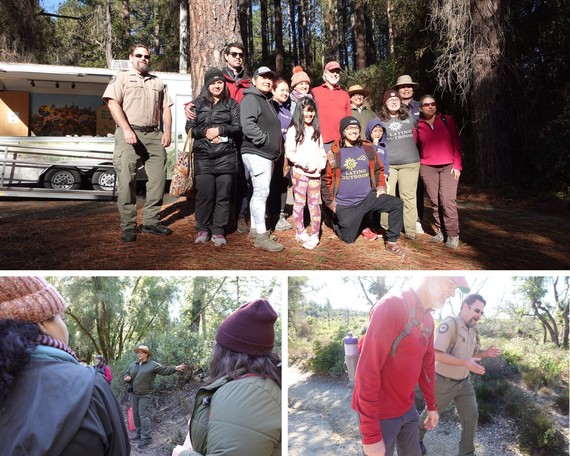 Henry Cowell Redwoods SP (collage)