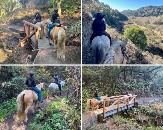 Mt Tam SP (trail realignment collage)