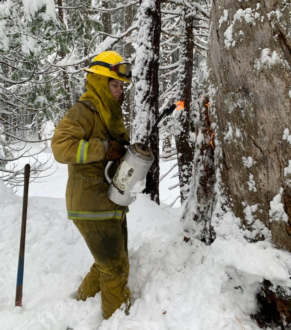 Forestry Aide Julia Nolan 