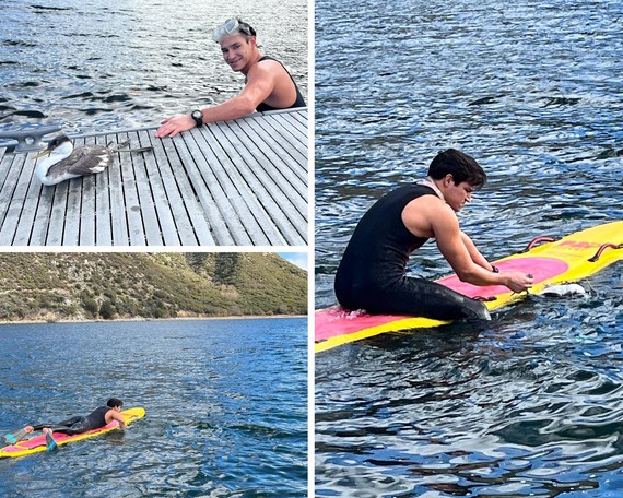 Silverwood Lake SRA (grebe rescue collage)