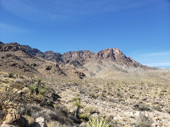 Providence Mountains SRA (Mary Beal Nature Study Trail views)