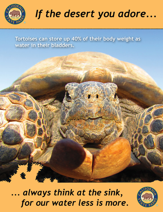 Providence Mountains SRA (Tortoise flyer)