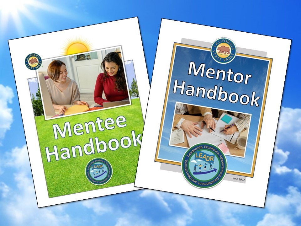 Mentorship Program flyer