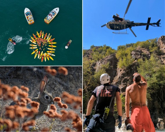 July to September Top Photos Collage