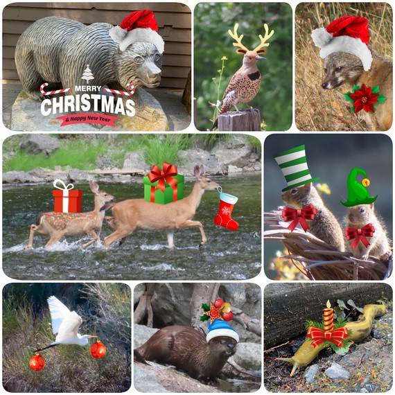 Richardson Grove SP_Christmas greetings