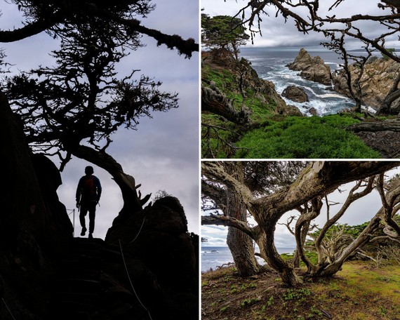 Point Lobos SNR_Cypress Grove Trail collage