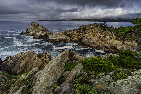 Point Lobos SNR_Cypress Grove Trail 2