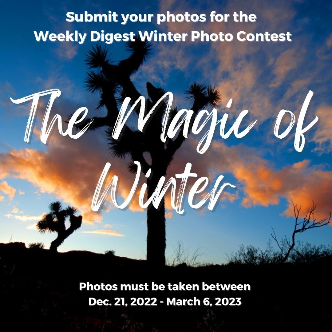 Magic of Winter Photo Contest_Red Rock Canyon SP