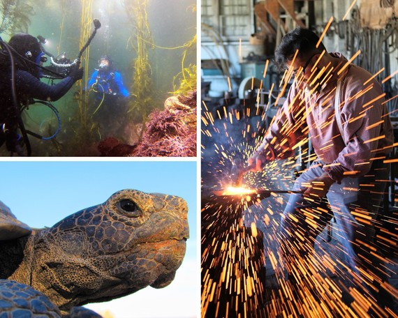 Year in review 2022 (April-June) top photos collage