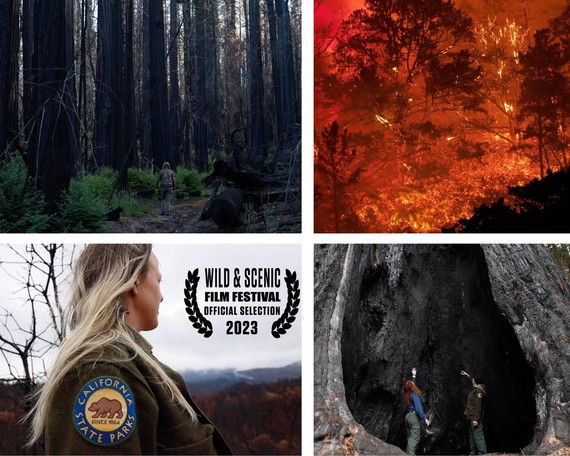 Wild and Scenic Films