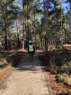 Point Lobos SNR_fuel load reduction 