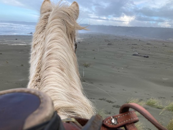 Little River State Beach_horse patrol