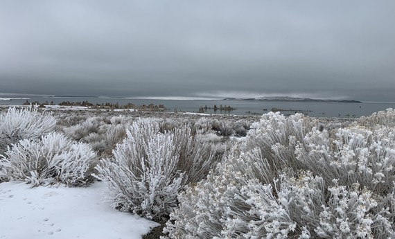 Mono Lake Tufa SNR_snow 2
