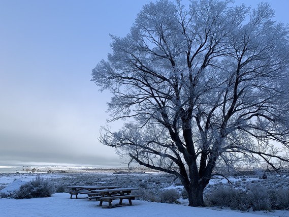 Mono Lake Tufa SNR_snow