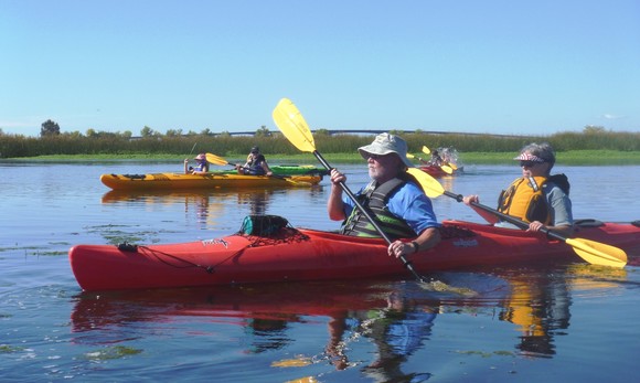 Photo of people kayaking in the Delta