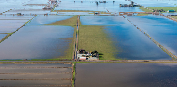Delta Flooding
