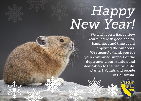 Mouse Picture along with Happy New Year Text