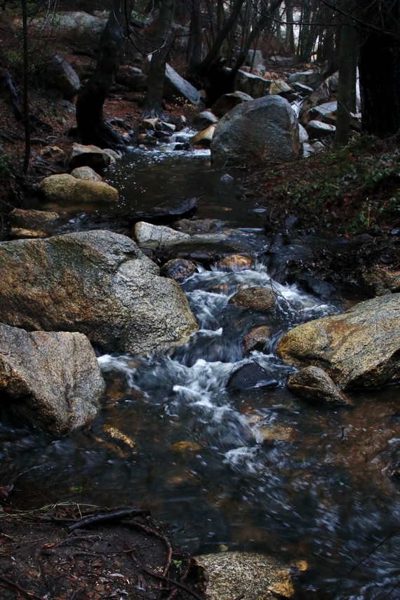 Cuyamaca Rancho SP (Green Valley Falls)