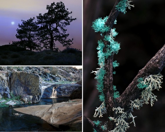 Cuyamaca Rancho SP (collage)