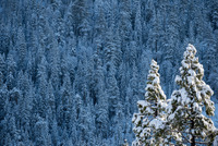 KG_snowpack_0926_04_09_2017