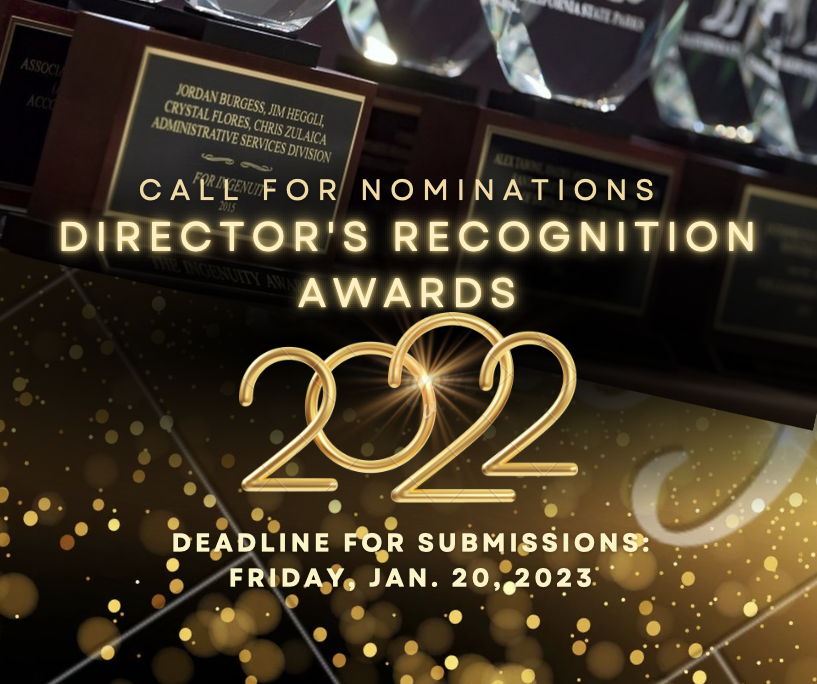 Updated Director's Award graphic_new deadline