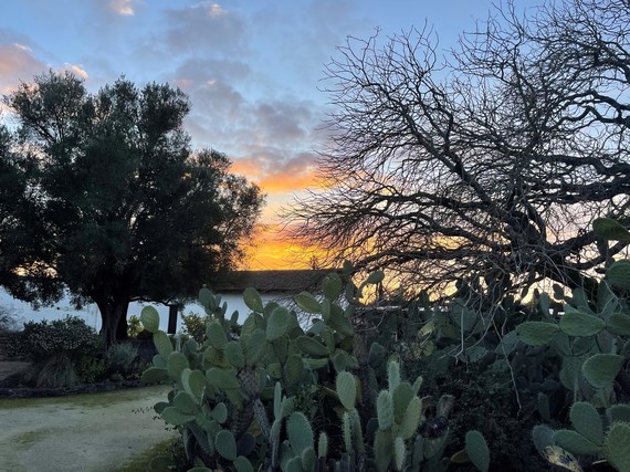 Sonoma SHP (Sunset over the mission)