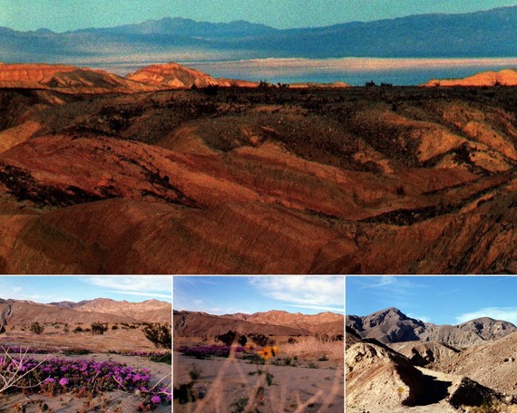 Anza-Borrego Desert SP (collage)