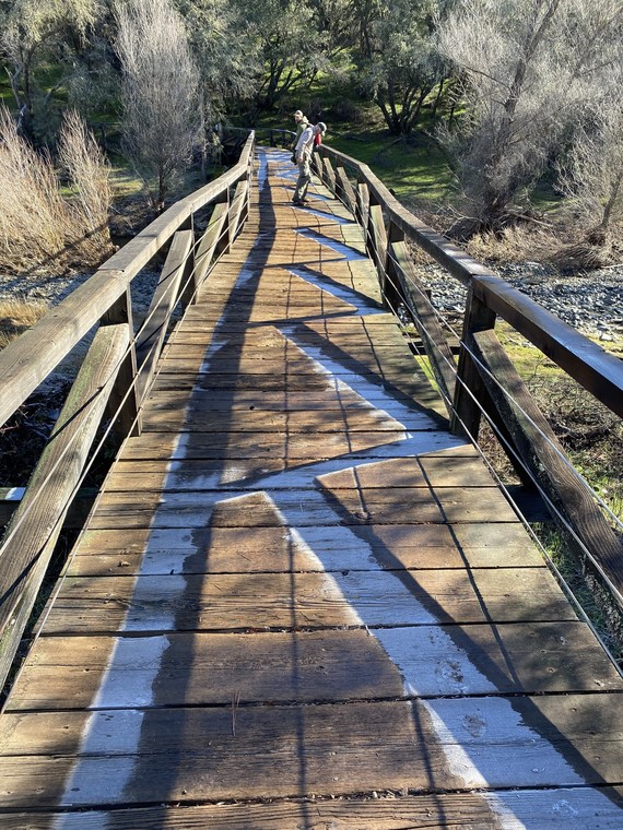 Folsom Lake SRA (Frost patterns on New York Creek Trail)