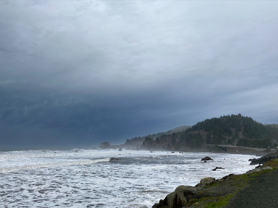 Del Norte Coast Redwoods SP (storm and powerful surf at wilson beach)