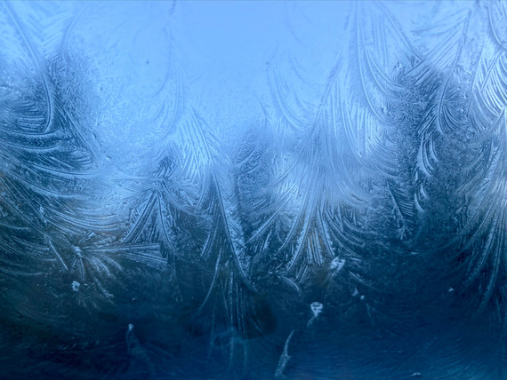 Jed Smith Redwoods SP (wispy frost)