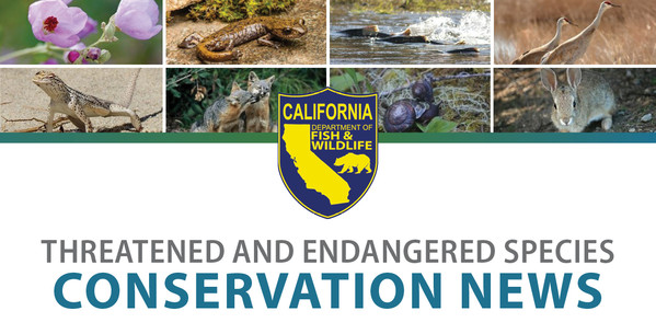 Banner - flora and fauna at top with CDFW logo and Threatened and Endangered Species Conservation News at bottom