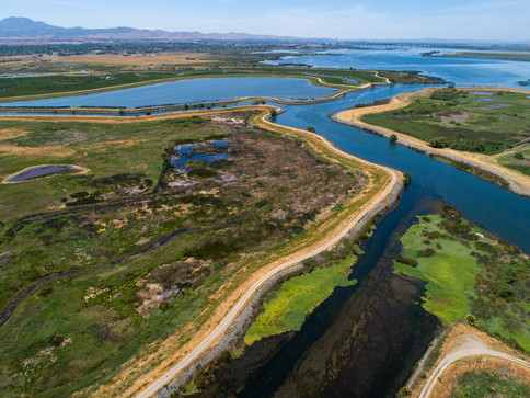 2021 photo of the Dutch Slough Restoration Project