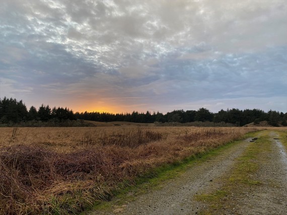 Tolowa Dunes SP (sunset)