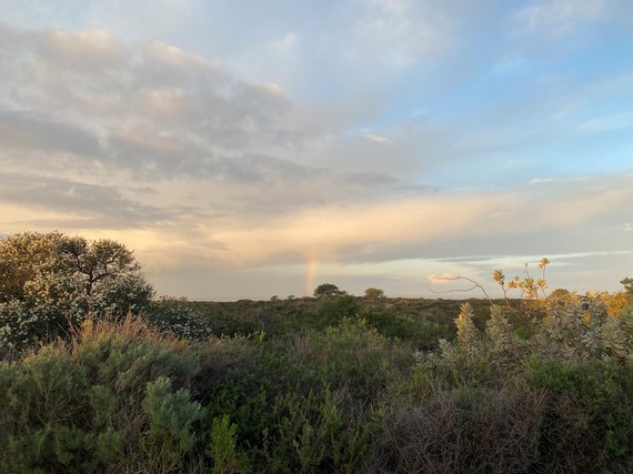 Torrey Pines SNR (Rainbow and Sunrise)