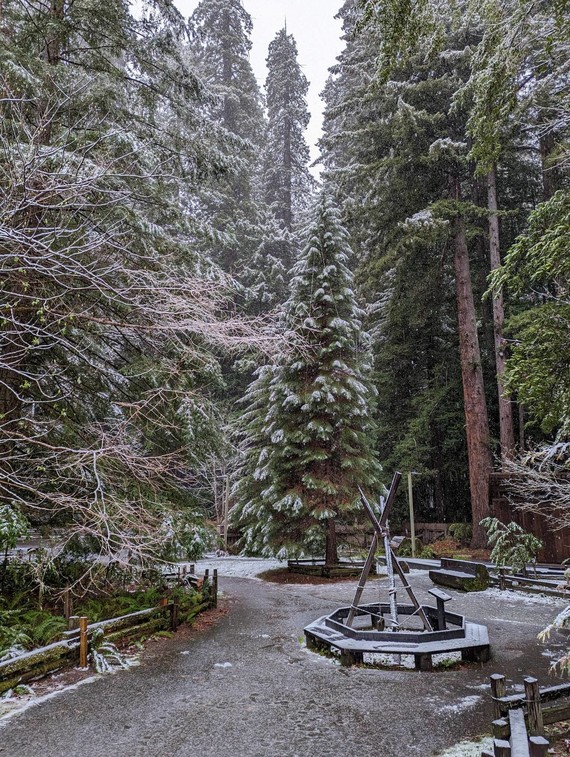 Humboldt Redwoods SP_light dusting of snow