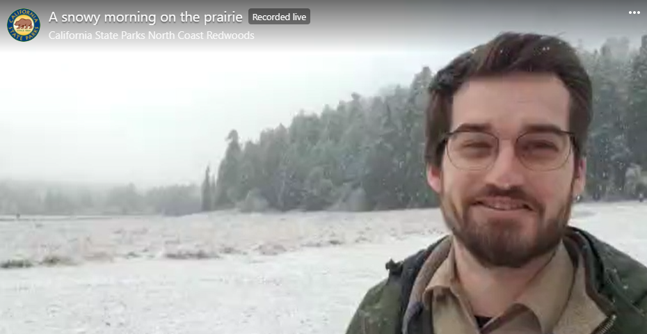 Prairie Creek Redwoods SP (Kyle livestream screenshot)