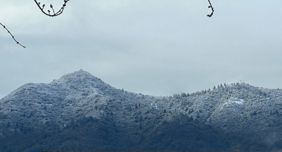 Mount Tamalpais SP (Snow)