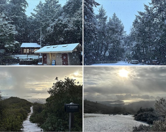 Mount Tamalpais SP (snow collage)