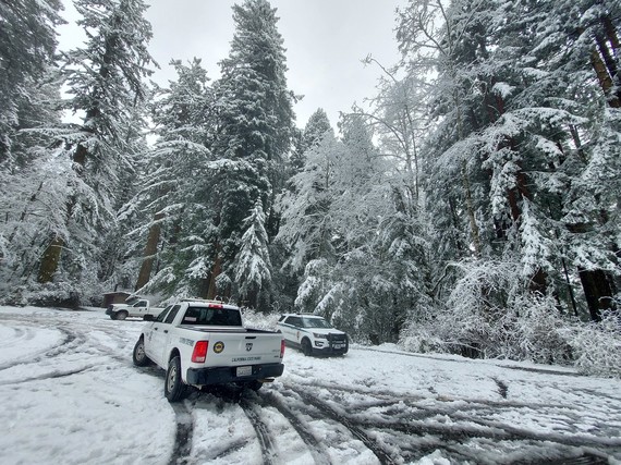 Redwoods State and National Parks (Trucks in snow)